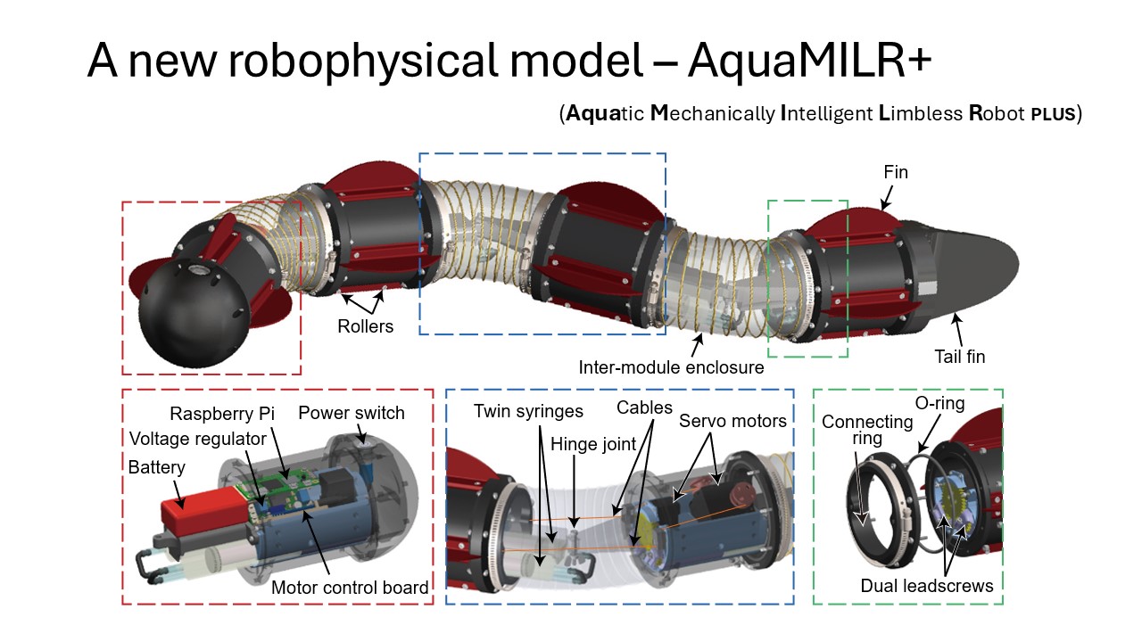 AquaMILR+ CAD design
