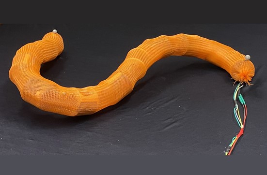 Cover for Limbless Sidewinder