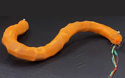 Sidewinder with Skin